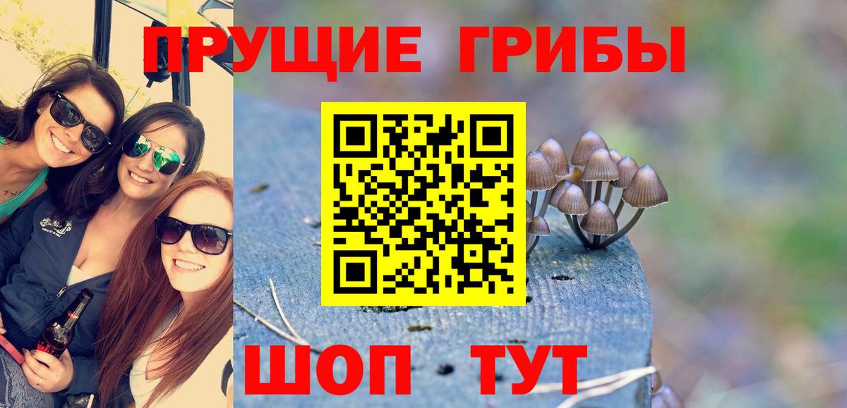 Псилоцибиновые грибы Cubensis Саранск