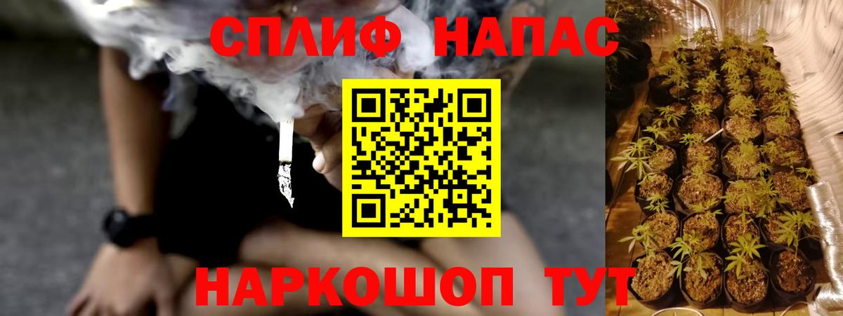 Каннабис тримм  Вход с VPN  Каннабис конопля  Конопля марихуана  Саранск 